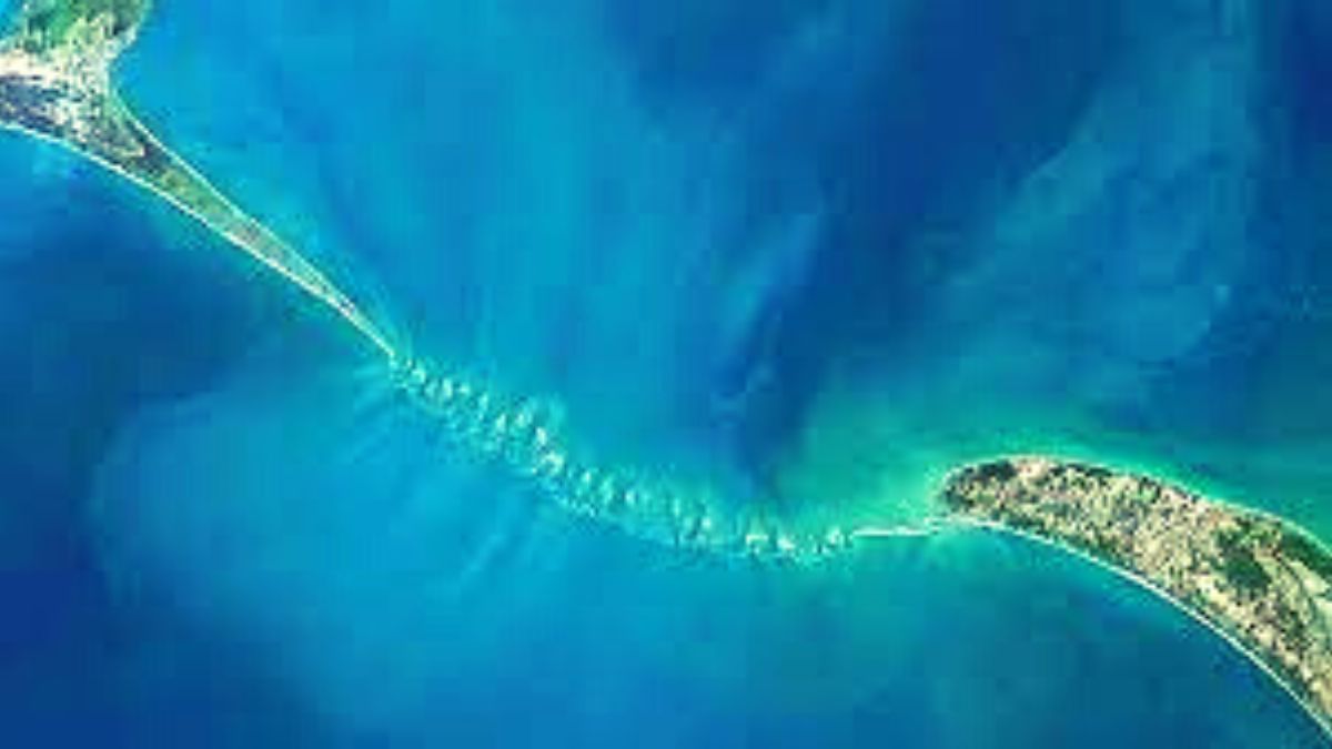 EXPLAINED: Is Ram Setu Bridge Man-Made Or Natural? Know The Truth Here